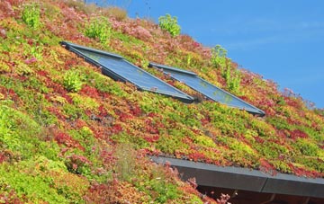South Reddish living roof systems